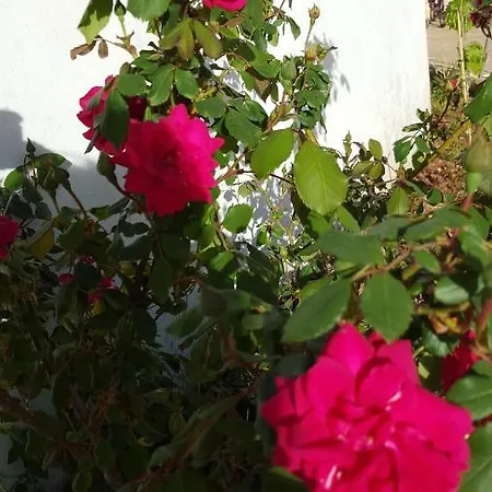 Holiday home Giardini Di Lanzo Martina Franca
